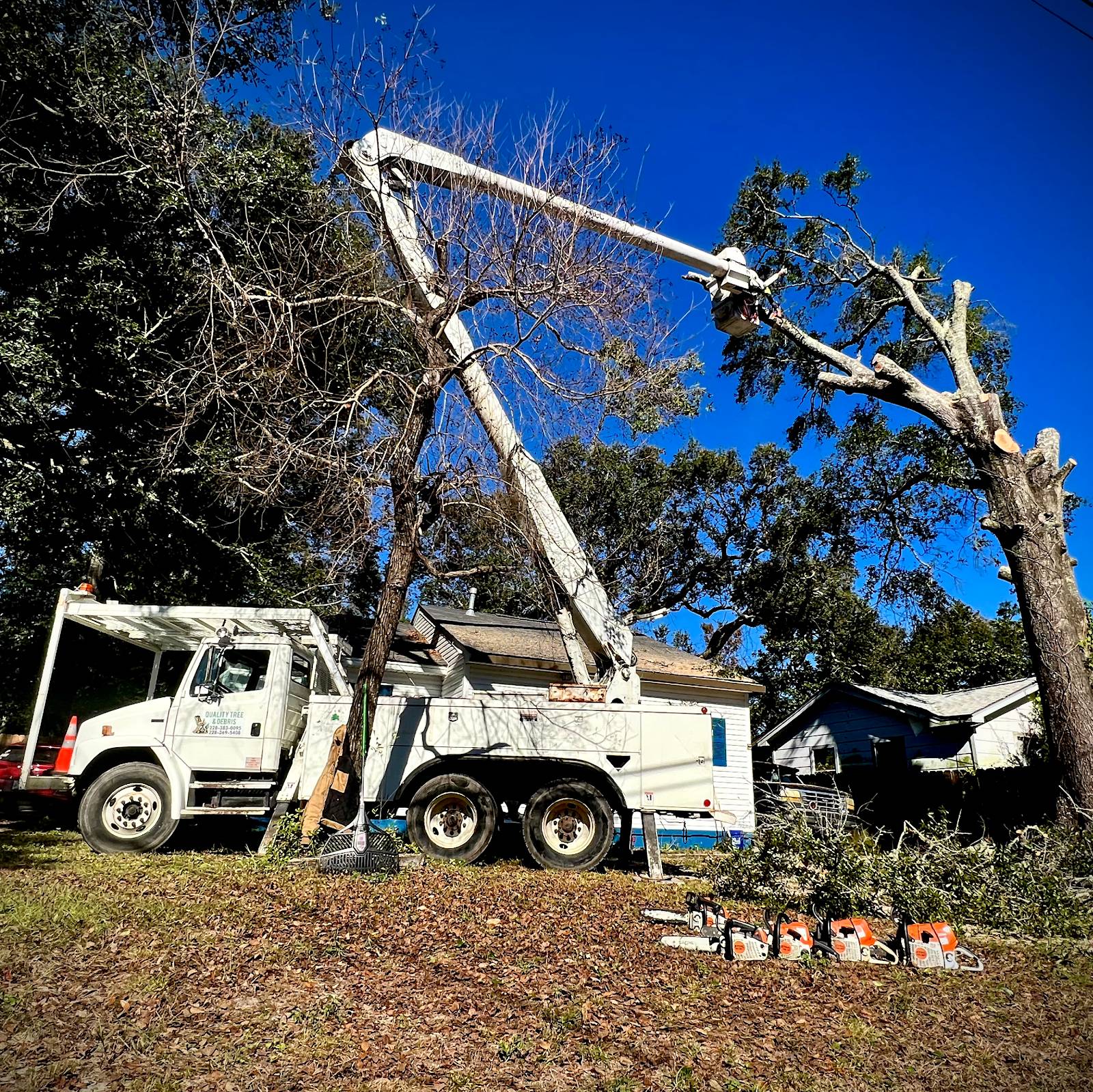 White tandem-axle bucket truck with its boom raised into a large dead tree beside a house, chainsaws lined up on the grass