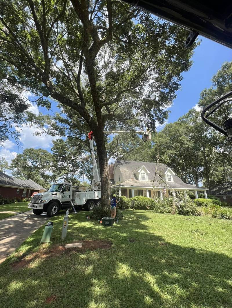 White bucket truck parked on the street under a big shade tree in front of a two-story house