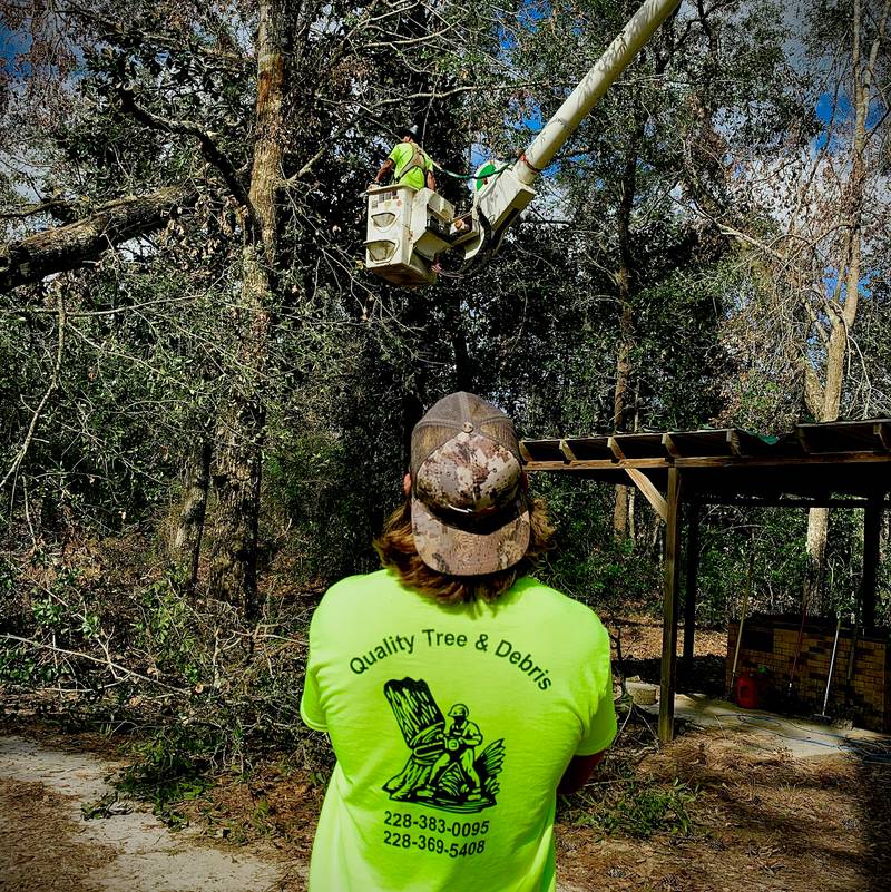 Crew member in a lime company shirt watching the bucket work in the trees above a yard full of cut branches