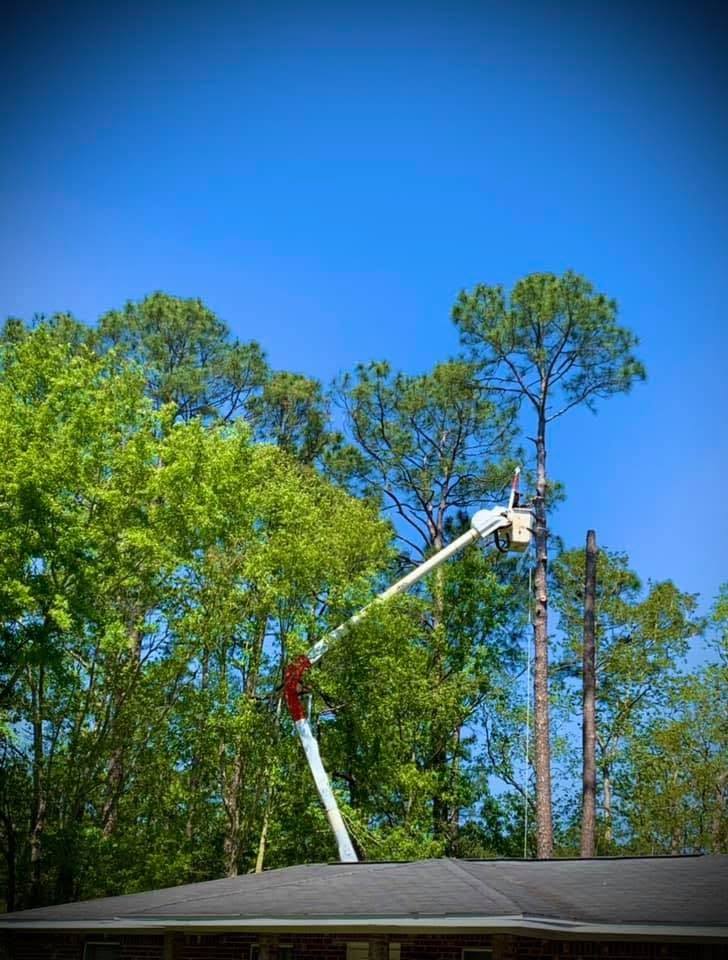 Bucket on a long white boom reaching up beside tall pines over a roof